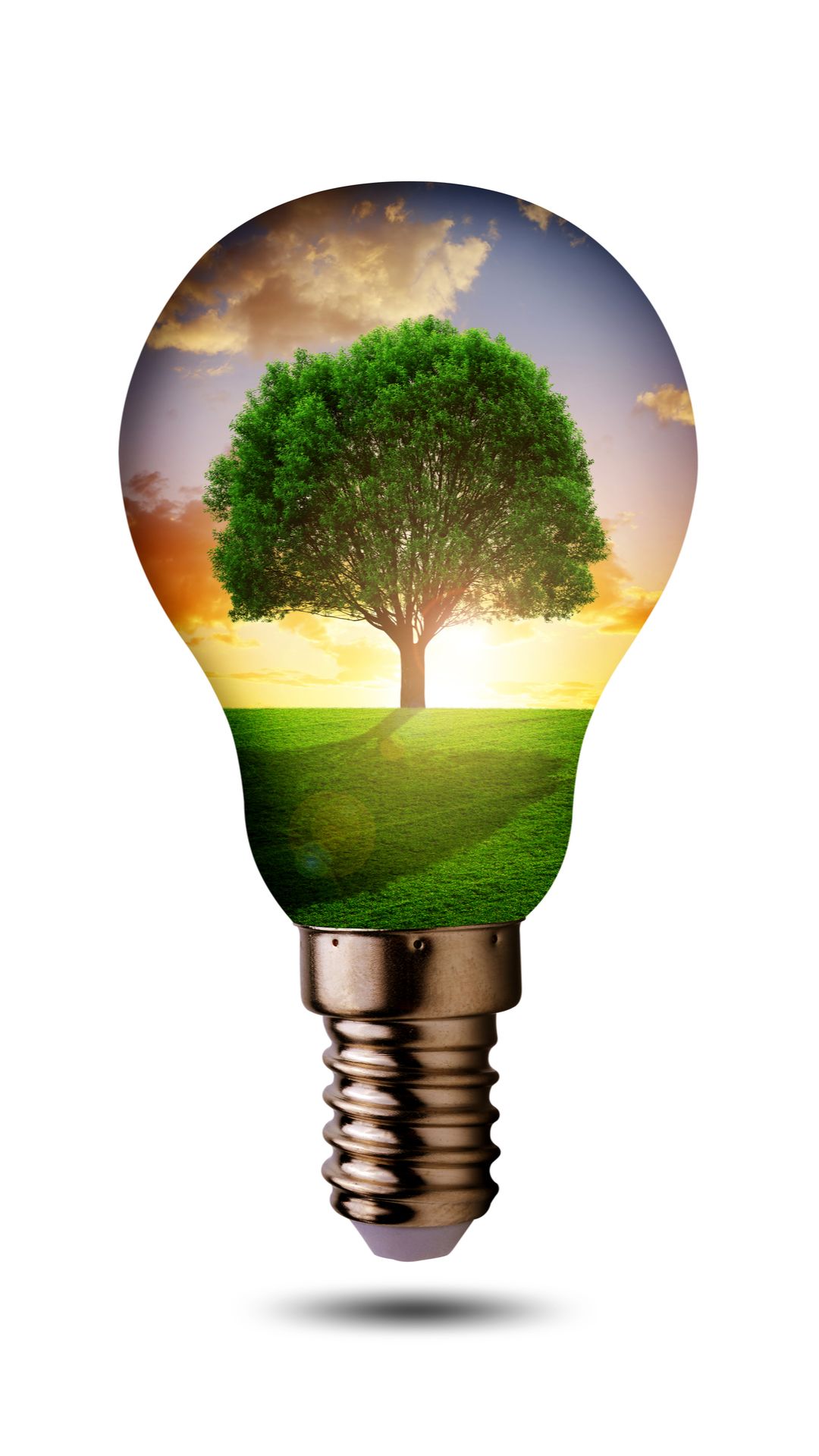 بهینه سازی مصرف آب و انرژی